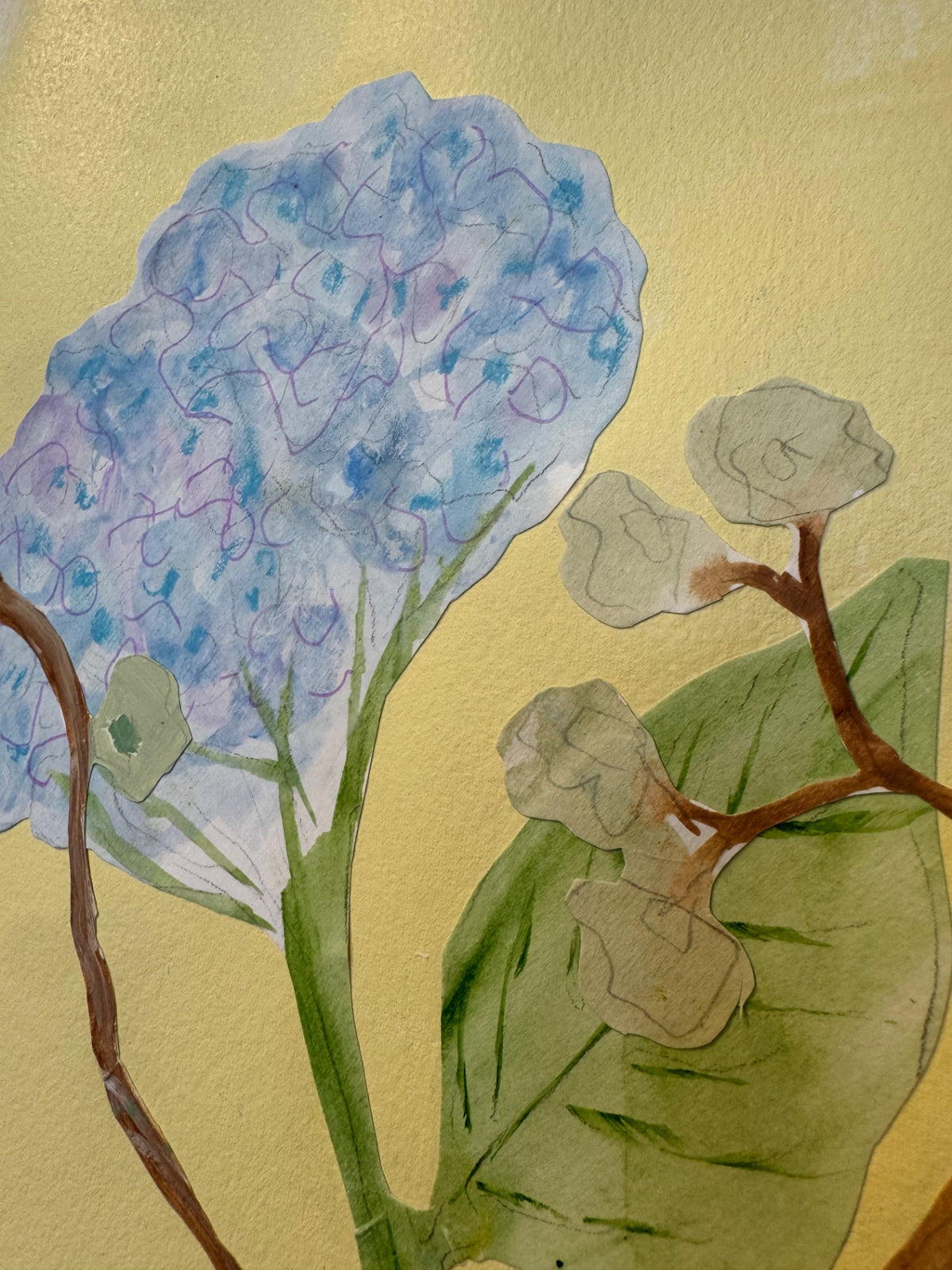 Blue Hydrangeas